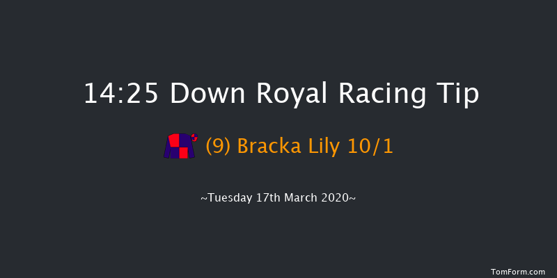 Adare Manor Opportunity Handicap Hurdle (80-95) Down Royal 14:25 Handicap Hurdle 20f Tue 28th Jan 2020
