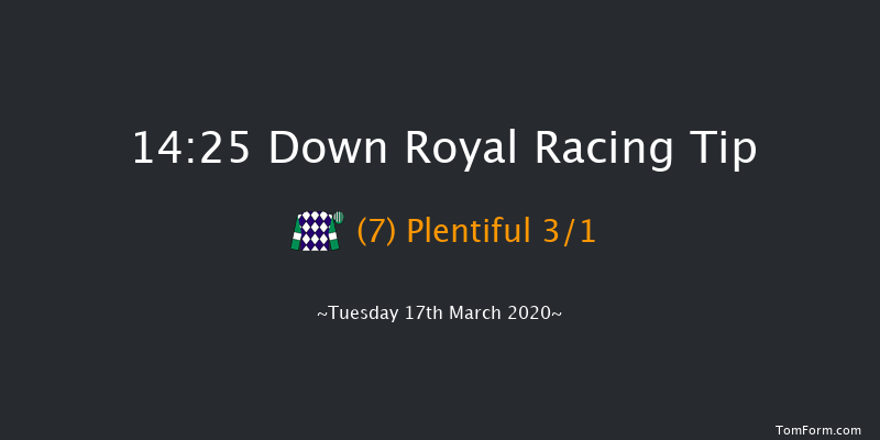 Adare Manor Opportunity Handicap Hurdle (80-95) Down Royal 14:25 Handicap Hurdle 20f Tue 28th Jan 2020