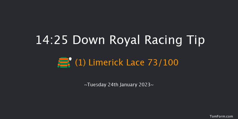 Down Royal 14:25 Novices Chase 16f Mon 26th Dec 2022