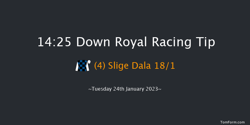 Down Royal 14:25 Novices Chase 16f Mon 26th Dec 2022
