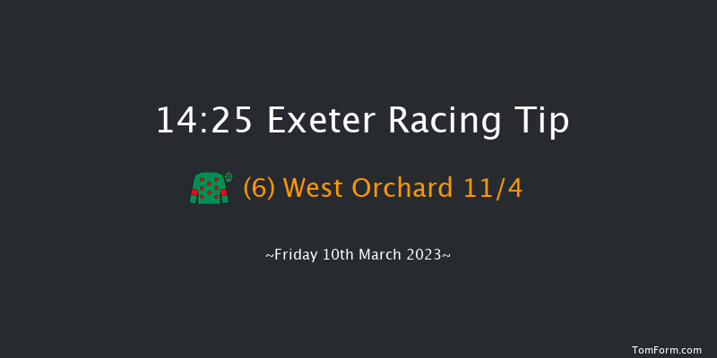 Exeter 14:25 Handicap Hurdle (Class 5) 22f Fri 24th Feb 2023