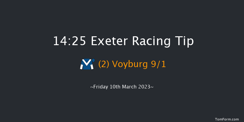 Exeter 14:25 Handicap Hurdle (Class 5) 22f Fri 24th Feb 2023