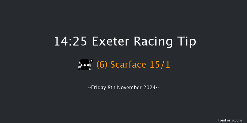 Exeter  14:25 Handicap Chase (Class 1) 18f Tue 22nd Oct 2024