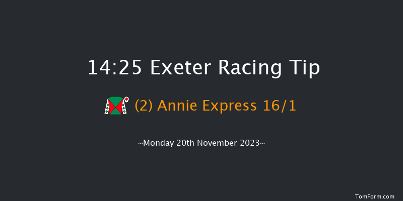 Exeter 14:25 Maiden Hurdle (Class 4) 18f Fri 10th Nov 2023