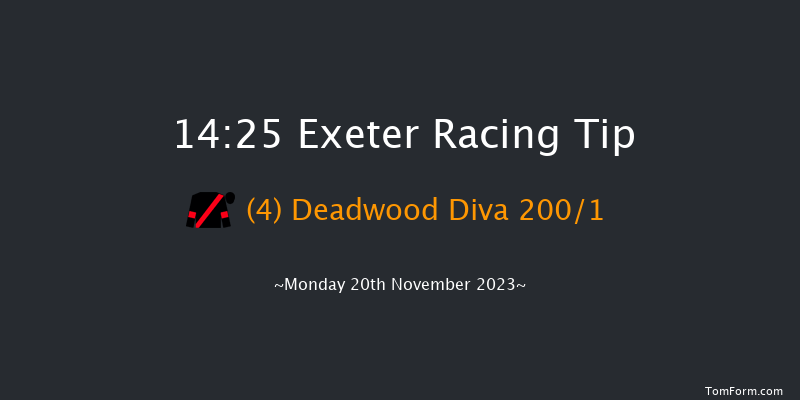 Exeter 14:25 Maiden Hurdle (Class 4) 18f Fri 10th Nov 2023