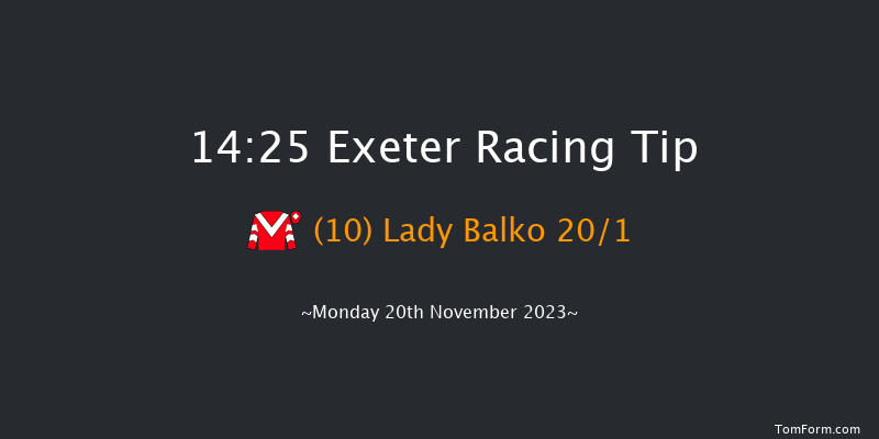 Exeter 14:25 Maiden Hurdle (Class 4) 18f Fri 10th Nov 2023