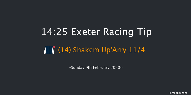 British Stallion Studs Ebf 'national Hunt' Novices' Hurdle Exeter 14:25 Novices Hurdle (Class 4) 18f Tue 21st Jan 2020