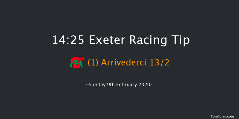 British Stallion Studs Ebf 'national Hunt' Novices' Hurdle Exeter 14:25 Novices Hurdle (Class 4) 18f Tue 21st Jan 2020