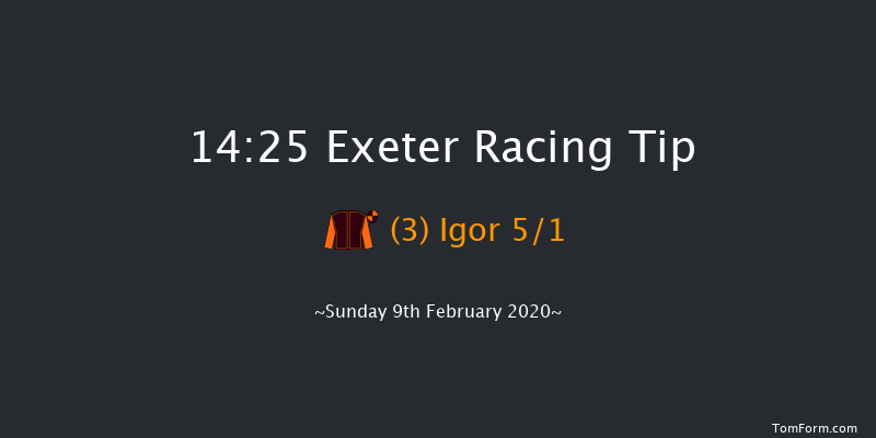 British Stallion Studs Ebf 'national Hunt' Novices' Hurdle Exeter 14:25 Novices Hurdle (Class 4) 18f Tue 21st Jan 2020