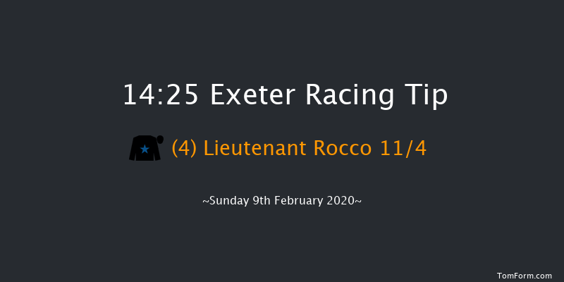 British Stallion Studs Ebf 'national Hunt' Novices' Hurdle Exeter 14:25 Novices Hurdle (Class 4) 18f Tue 21st Jan 2020