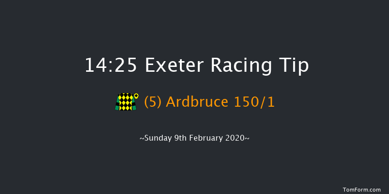 British Stallion Studs Ebf 'national Hunt' Novices' Hurdle Exeter 14:25 Novices Hurdle (Class 4) 18f Tue 21st Jan 2020