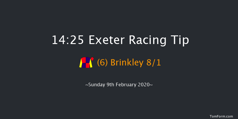 British Stallion Studs Ebf 'national Hunt' Novices' Hurdle Exeter 14:25 Novices Hurdle (Class 4) 18f Tue 21st Jan 2020