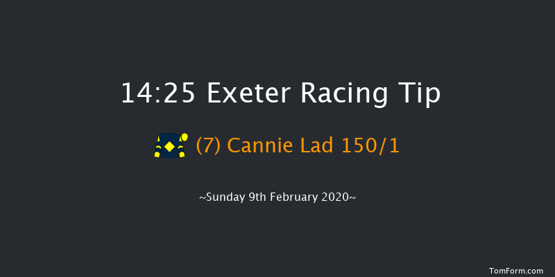 British Stallion Studs Ebf 'national Hunt' Novices' Hurdle Exeter 14:25 Novices Hurdle (Class 4) 18f Tue 21st Jan 2020