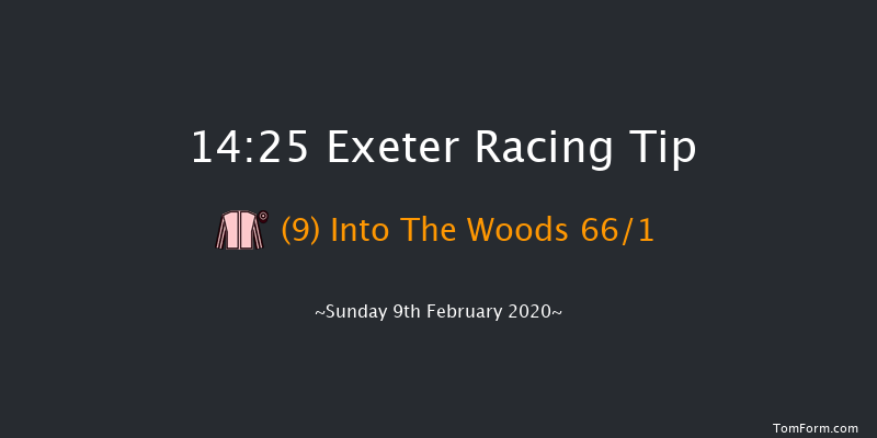British Stallion Studs Ebf 'national Hunt' Novices' Hurdle Exeter 14:25 Novices Hurdle (Class 4) 18f Tue 21st Jan 2020