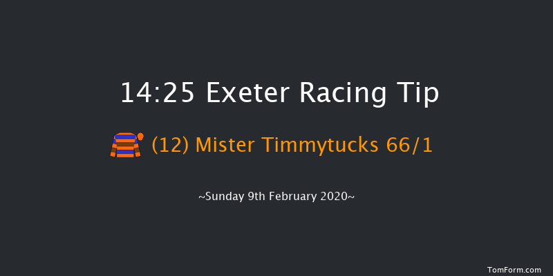British Stallion Studs Ebf 'national Hunt' Novices' Hurdle Exeter 14:25 Novices Hurdle (Class 4) 18f Tue 21st Jan 2020