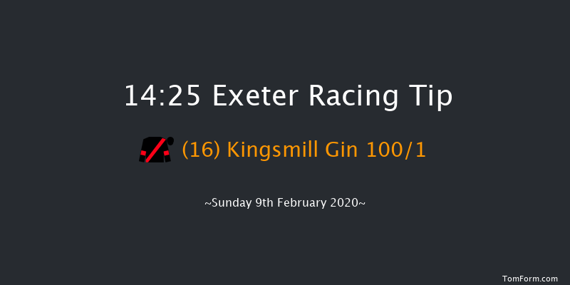 British Stallion Studs Ebf 'national Hunt' Novices' Hurdle Exeter 14:25 Novices Hurdle (Class 4) 18f Tue 21st Jan 2020