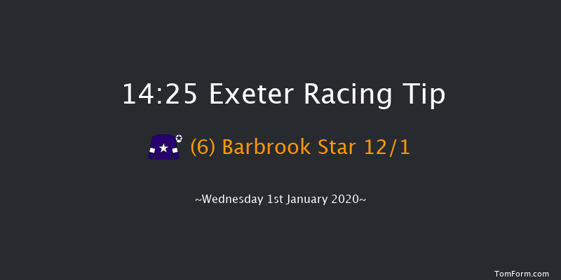 Exeter 14:25 Handicap Chase (Class 3) 24f Fri 6th Dec 2019