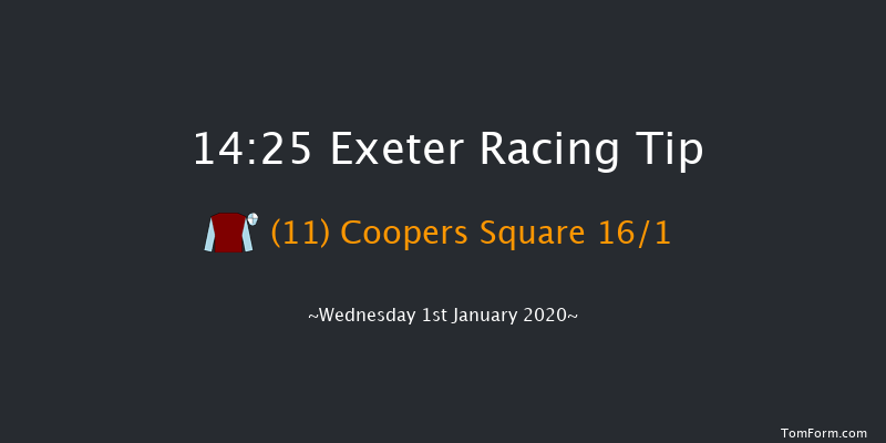 Exeter 14:25 Handicap Chase (Class 3) 24f Fri 6th Dec 2019