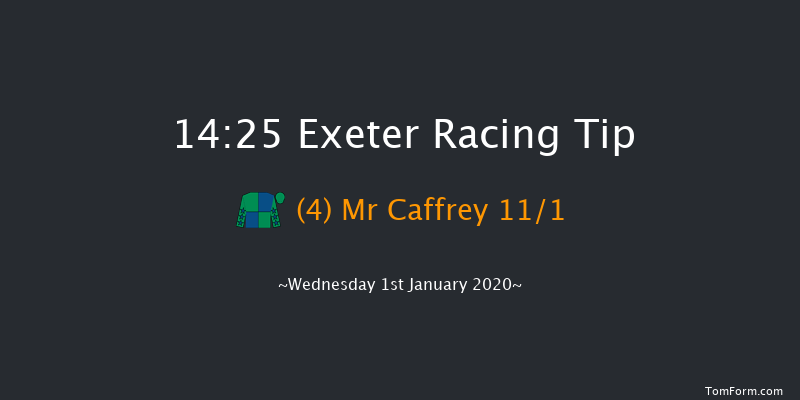 Exeter 14:25 Handicap Chase (Class 3) 24f Fri 6th Dec 2019