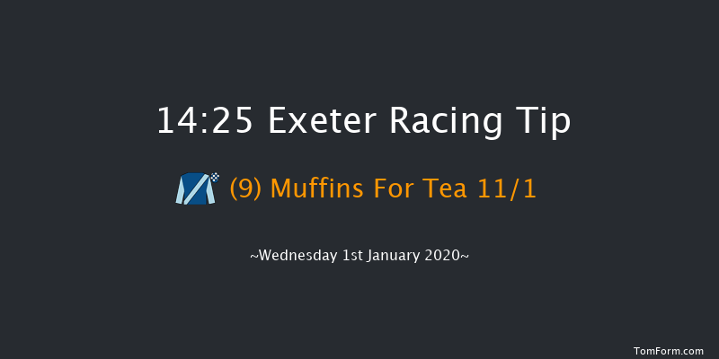 Exeter 14:25 Handicap Chase (Class 3) 24f Fri 6th Dec 2019