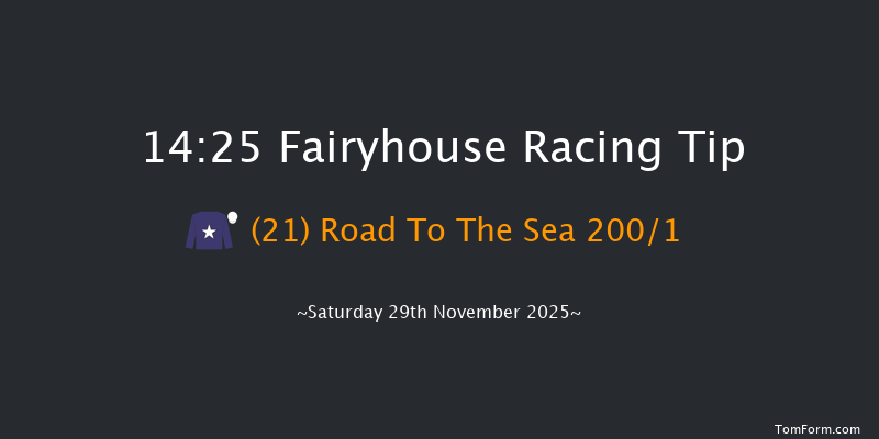 Fairyhouse 14-25 16f Fri 21st Nov 2025