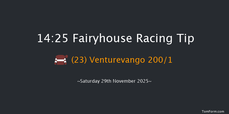 Fairyhouse 14-25 16f Fri 21st Nov 2025