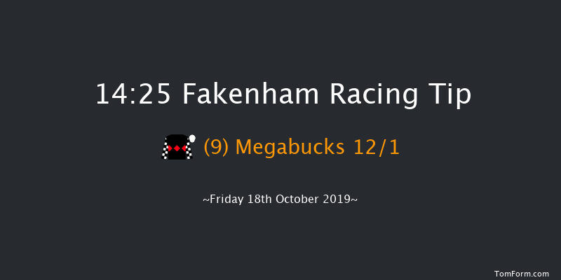 Fakenham 14:25 Handicap Hurdle (Class 4) 20f Thu 1st Jan 1970