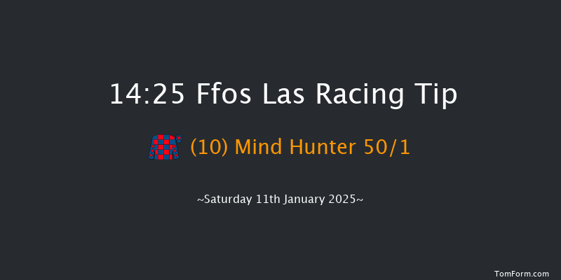 Ffos Las  14:25 Handicap Hurdle (Class 5) 20f Thu 19th Dec 2024