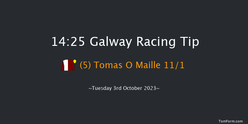 Galway 14:25 Handicap Hurdle 19f Tue 12th Sep 2023