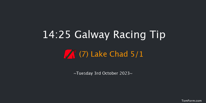 Galway 14:25 Handicap Hurdle 19f Tue 12th Sep 2023