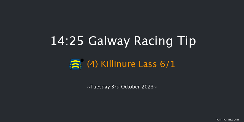 Galway 14:25 Handicap Hurdle 19f Tue 12th Sep 2023