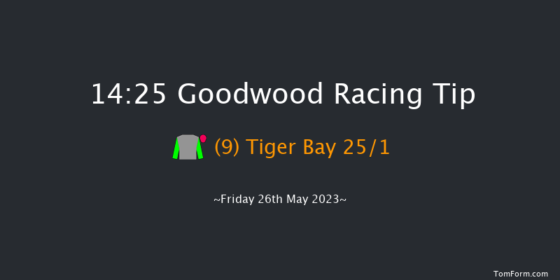 Goodwood 14:25 Handicap (Class 4) 8f Sat 6th May 2023