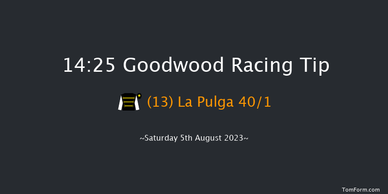 Goodwood 14:25 Handicap (Class 2) 14f Fri 4th Aug 2023