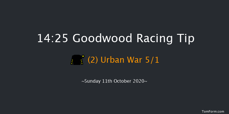 Download The tote Placepot App Irish EBF Nursery Goodwood 14:25 Handicap (Class 4) 7f Wed 23rd Sep 2020