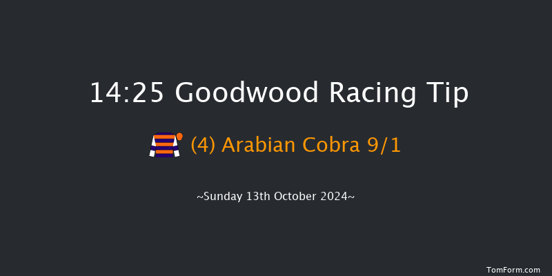 Goodwood  14:25 Stakes (Class 4) 6f  Wed 25th Sep 2024