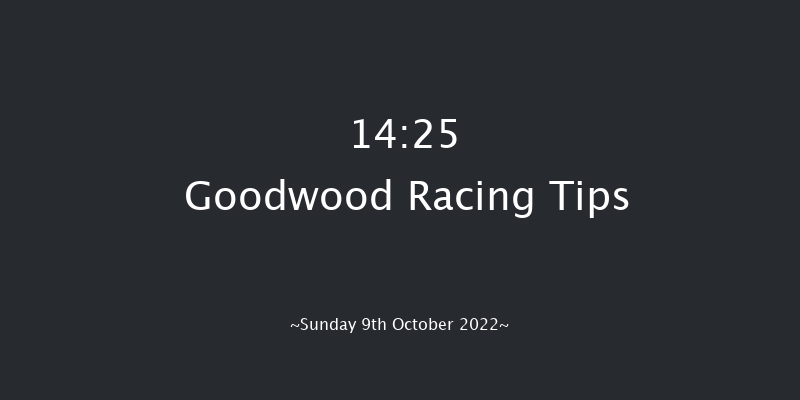 Goodwood 14:25 Stakes (Class 4) 6f Wed 21st Sep 2022