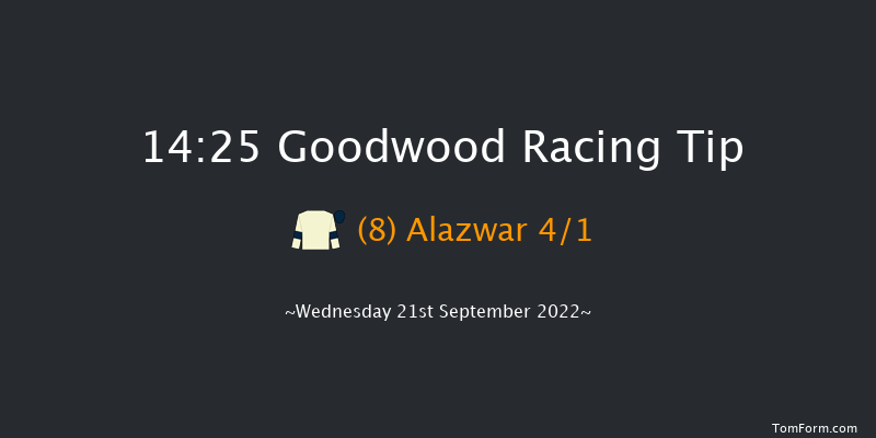 Goodwood 14:25 Handicap (Class 2) 8f Tue 6th Sep 2022