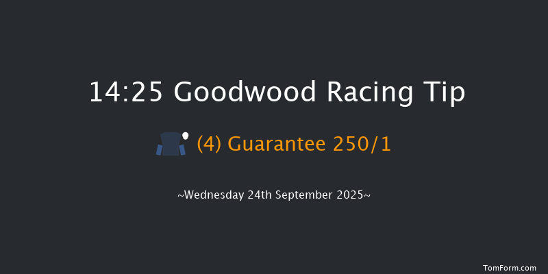 Goodwood 14-25 (Class 2) 9f Wed 3rd Sep 2025