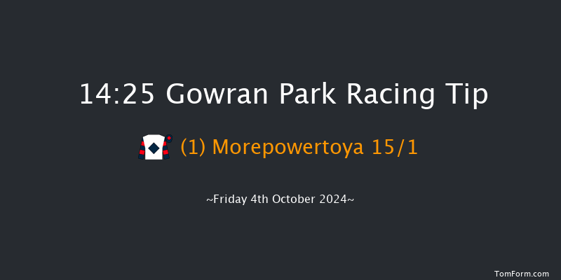 Gowran Park  14:25 Handicap Hurdle 16f Sat 21st Sep 2024