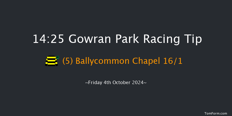 Gowran Park  14:25 Handicap Hurdle 16f Sat 21st Sep 2024