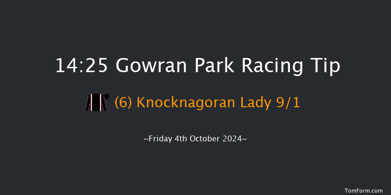 Gowran Park  14:25 Handicap Hurdle 16f Sat 21st Sep 2024