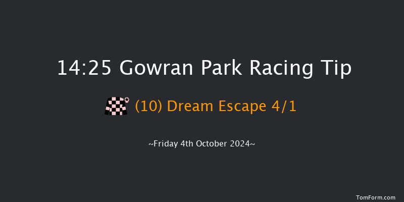 Gowran Park  14:25 Handicap Hurdle 16f Sat 21st Sep 2024
