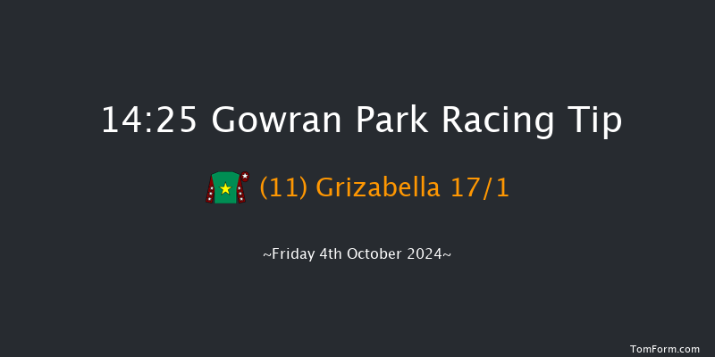 Gowran Park  14:25 Handicap Hurdle 16f Sat 21st Sep 2024