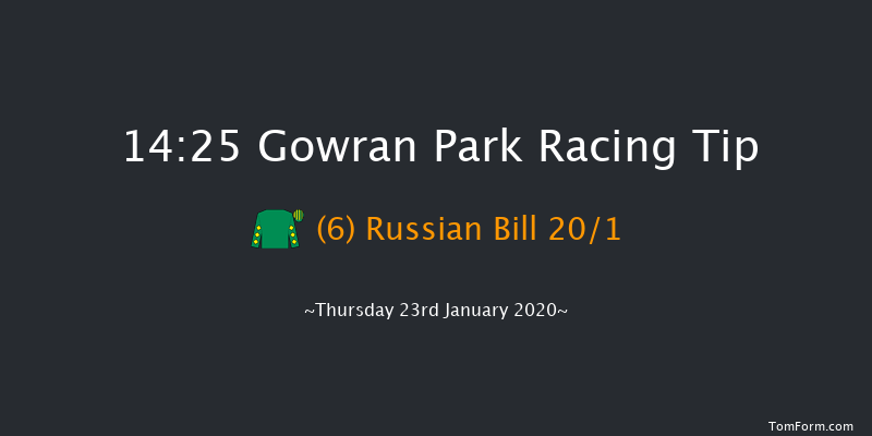 Gowran Park 14:25 Handicap Hurdle 20f Sat 23rd Nov 2019