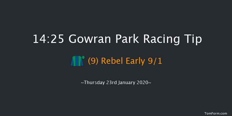 Gowran Park 14:25 Handicap Hurdle 20f Sat 23rd Nov 2019