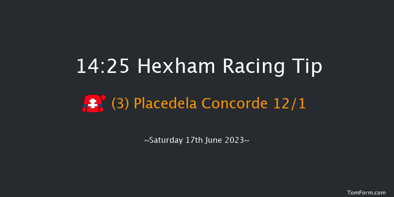 Hexham 14:25 Handicap Chase (Class 4) 20f Sat 3rd Jun 2023