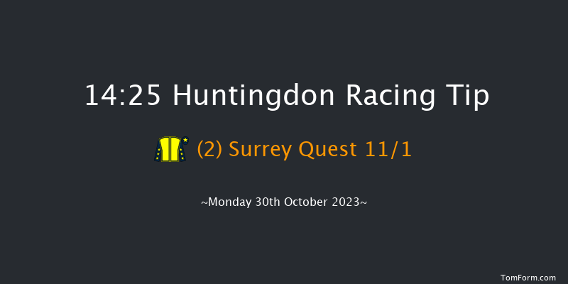 Huntingdon 14:25 Handicap Chase (Class 4) 24f Tue 17th Oct 2023