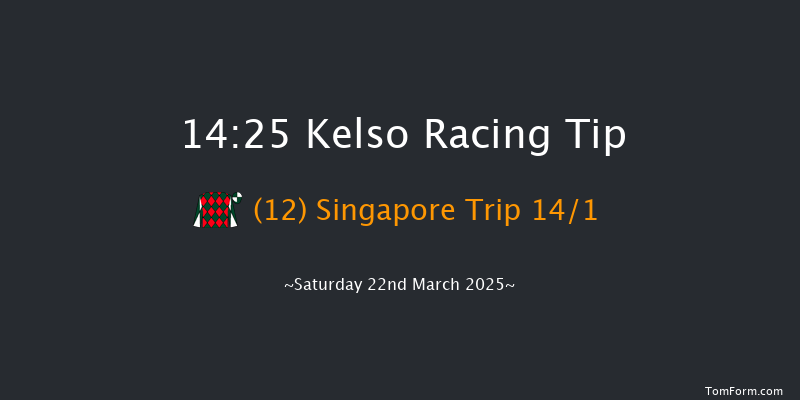 Kelso  14:25 Handicap Hurdle (Class 2) 21f Sat 1st Mar 2025
