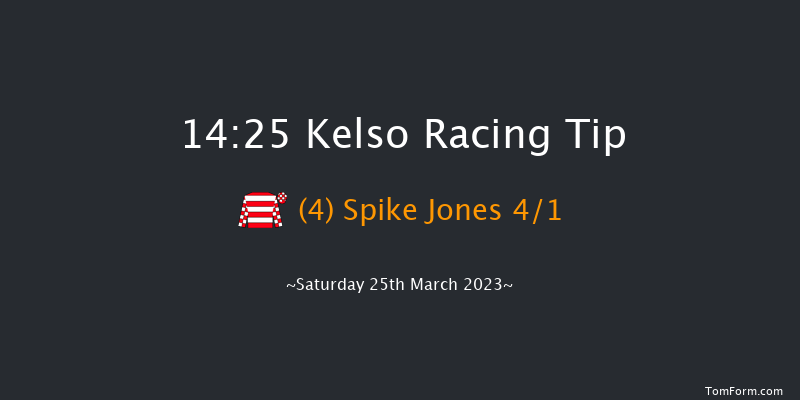 Kelso 14:25 Handicap Hurdle (Class 2) 26f Sat 4th Mar 2023