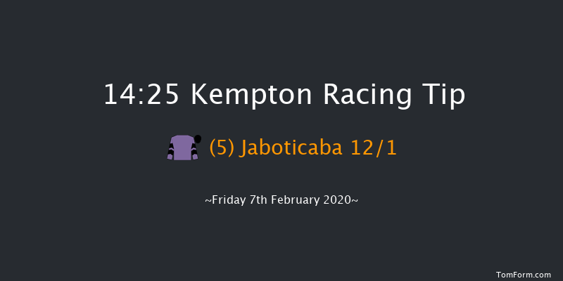 Kempton 14:25 Handicap Chase (Class 3) 18f Tue 4th Feb 2020
